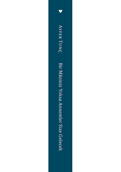Bir Mâniniz Yoksa Annemler Size Gelecek - Ayfer Tunç  - Can Yayınları