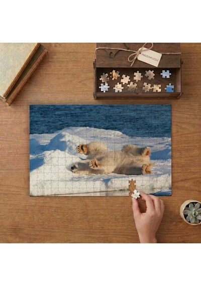 Karda Yatan Kutup Ayısı Tasarımı 240 Parça Ahşap Puzzle Ahşap Kutuda Mpy50464