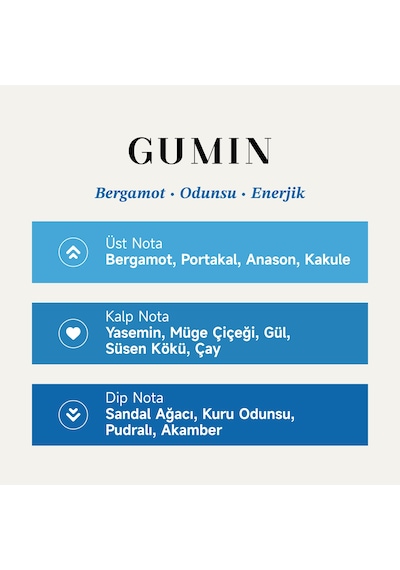 Mad Gumin Erkek Parfüm EDP 100 ML