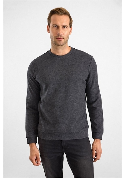 Süvari Antrasit Regular Düz Bisiklet Yaka Sweatshirt Ssw2013700003-s08