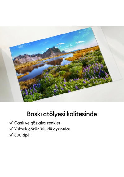 Cricut 2013579 Stickerpix Print Sticker Ve Fotoğraf Yazıcısı