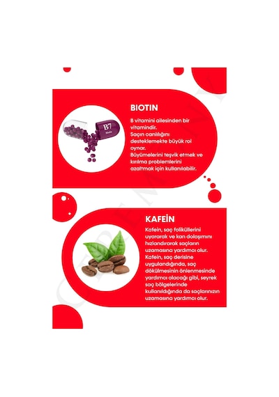Ceremony Biotin & Caffeine & Amino Acid Complex İçeren Dökülme Karşıtı Sprey Tonik 12 x 250 ML