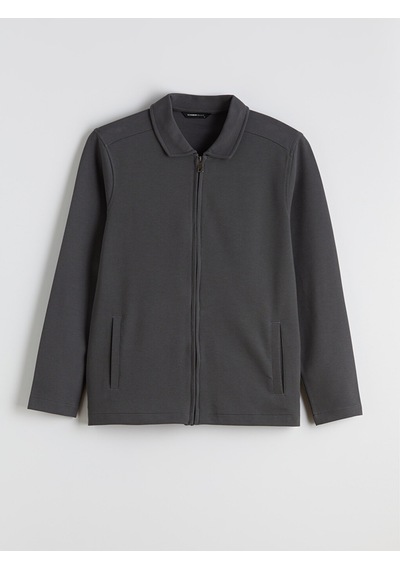 Lcwaıkıkı Classic Antrasit Standart Kalıp Polo Yaka Erkek Fermuarlı Sweatshirt