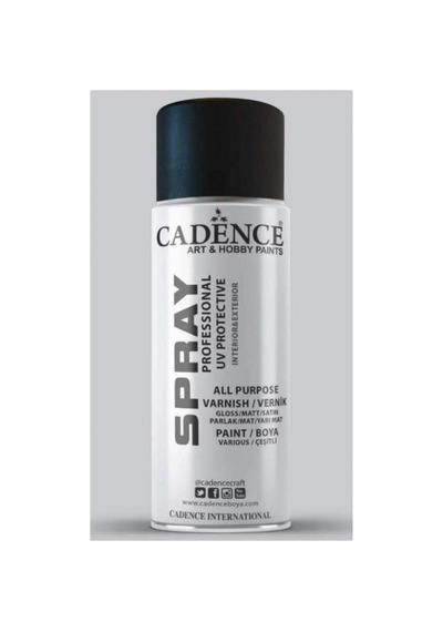 Ayrex Cadence Mat - Sprey Vernik 400ml Şeffaf Tek Ebat Genel
