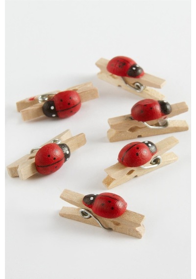 Drnds 1 Adet Uğur Böceği Süs Mandal-kahverengi