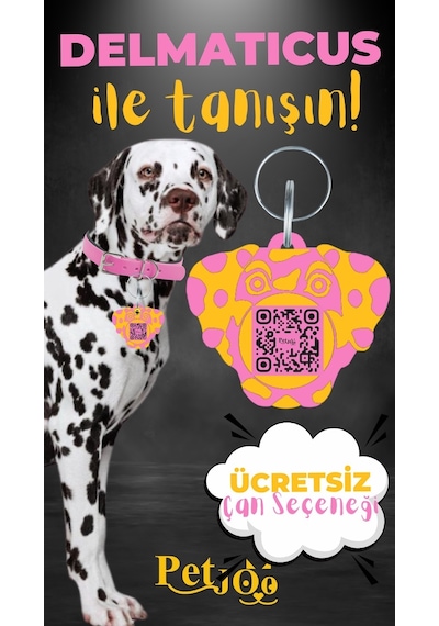 Petjoo 28.Delmaticus Sarı-Pembe Qr'lı Köpek Künyesi