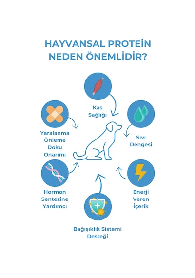 Herbamax Puppy Kuzu Etli ve Pirinçli Yavru Köpek Maması 2 x 10 KG