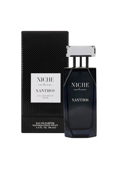 Niche Exclusive Xanthos Erkek Parfüm EDP 100 ML