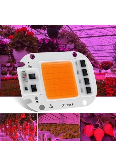 50w Bitki Ledi Yetiştirme Ampul Grow Light Led Projektör Çipi