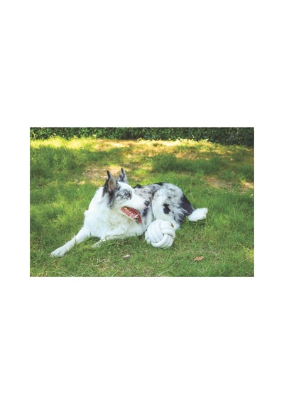 M-pets Coto Whıte Ball 15cm Örgü Top Oyuncak