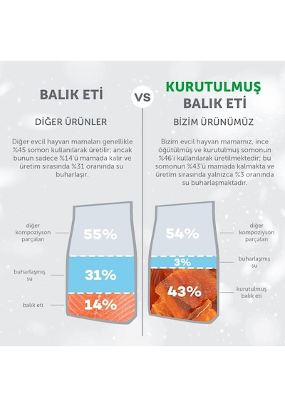 Superior Care Kızıl/kahverengi Tüylü Köpekler İçin Tahılsız Somonlu Küçük Irk Yavru Köpek Maması 1,5 Kg