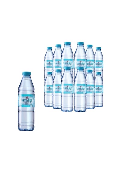 Hamidiye Su 48 x 500 ML