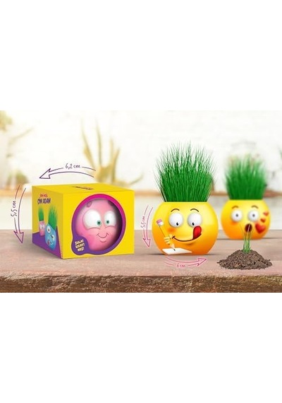 Yuup Emoji Temalı Çim Adam 6'lı Set Çocuklar İçin Eğitici Ve Eğlenceli Bitki Yetiştirme Kiti