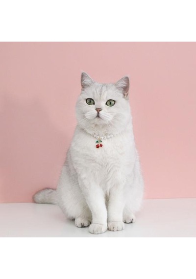 Kırmızı Göz Alıcı Nefis Pet Kedi Köpek Kiraz Kolye Sahte İnci Yaka Pet Kaynağı S
