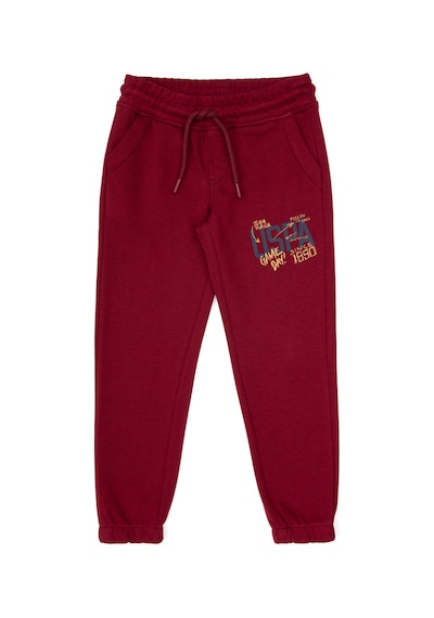 U.s. Polo Assn. Erkek Çocuk Bordo Eşofman Altı 50316602-vr014 Bordo
