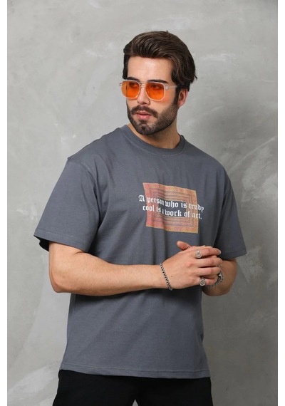 Assema Erkek Baskılı T-shirt Kısa Kol Bisiklet Yaka Regular Fit Rahat Kalıp Tişört - Füme Çok Renkli