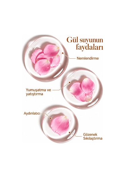 Lágus Rosa Damascena Katkısız Formül Gül Suyu Cam Şişe 100 ML