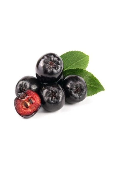Viking Siyah Aronya Fidanı Aronia Chokeberry