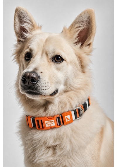 Köpekler İçin Dayanıklı Ve Güvenli, Desenli Boyun Tasması 25mm Çizgili