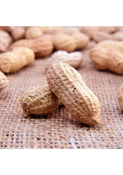 Zeki Özgür Kavrulmuş Kabuklu Fıstık 500 G
