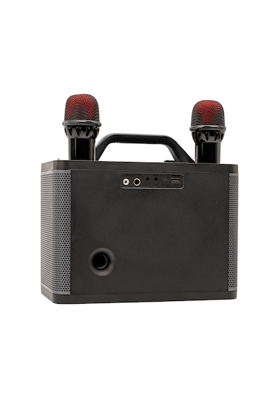 Hometech HT-202 Bluetooth  5.0 Speaker + 2 Mikrofon