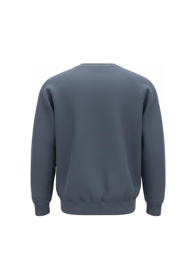 Superfly Bisiklet Yaka Erkek Basic Sweatshirt Spf101232323601 Antrasit