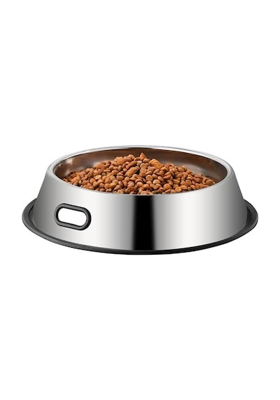 Paslanmaz Çelik 1000 Ml Gri Kaymaz Taban Kedi Köpek Mama Ve Su Kabı Cin569-26