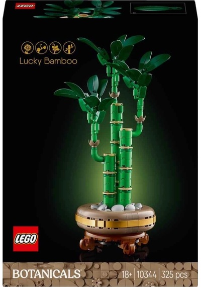 Mey İthalat Botanicals Şans Bambusu 10344