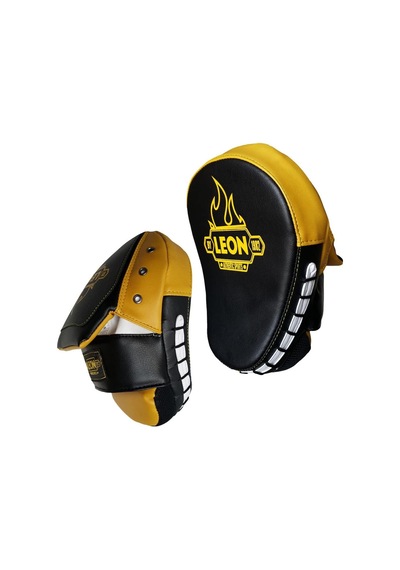 Leon Pro Boks, Kick Boks Muay Thai Ve Mma El Lapası Çok Renkli