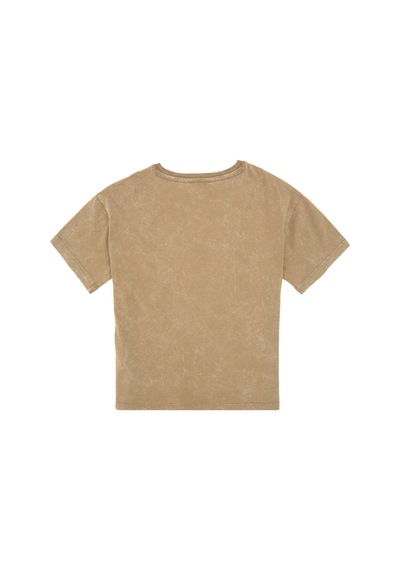 U.s. Polo Assn. Erkek Çocuk Haki Tişört 50307308-vr027 Haki