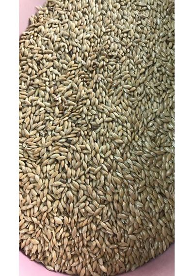 Kanarya Yemi 5 KG ( Sade )