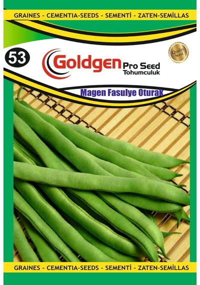 Goldgen Magen Oturak Fasulye Tohumu 1 Paket