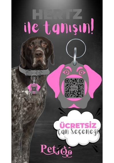 Petjoo 26.Hertz Pembe-Gri Qr'lı Köpek Künyesi