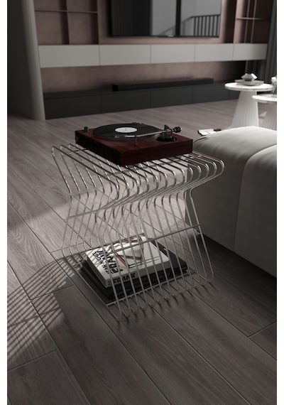 Roma Modern Metal Yan Sehpa Derilik Minimalist Tasarım Kitaplık Pikap Plak Çalar Düzenleyici Gümüş