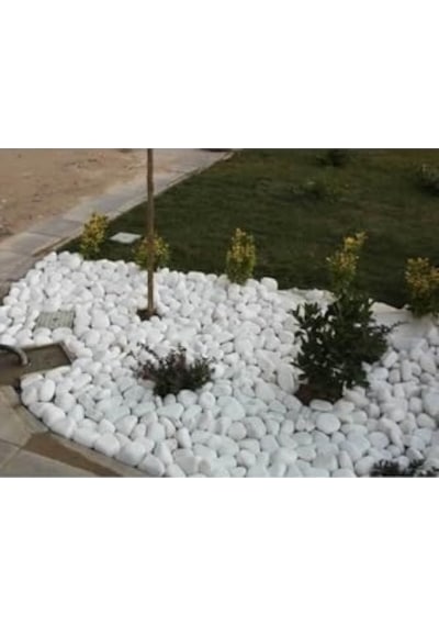 Payam44 Beyaz Dolomit Taş 20 Kg 2,5-4 Cm Dekoratif Taş Bahçe Süs Taşı