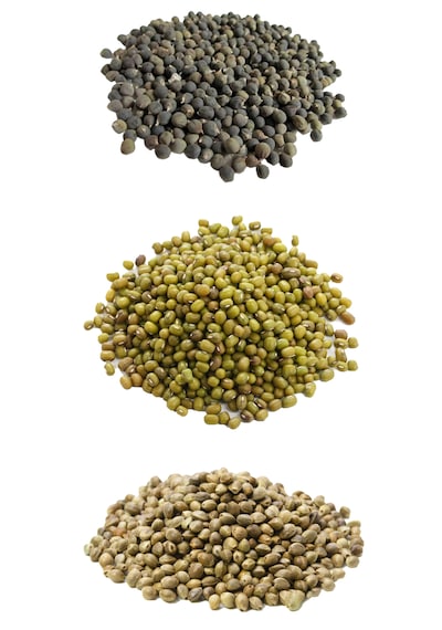 İpek Değirmen Maş Fasulyesi Bamya Tohumu Kendir Doğal Vegan Set 3 x 100 G