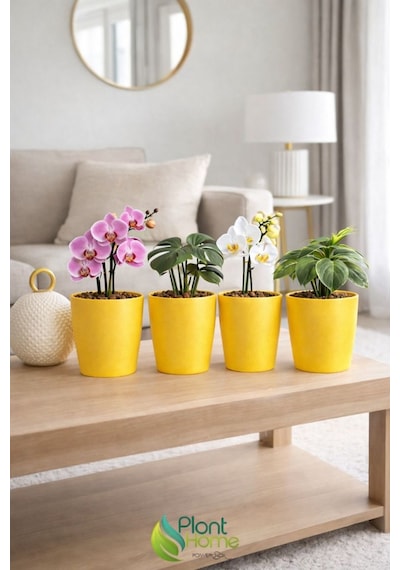 Dekoratif Sarı Orkide Saksısı - 4 Adet Set  -12 Pot Üretim Saksısına Uygun Kaliteli Ürün