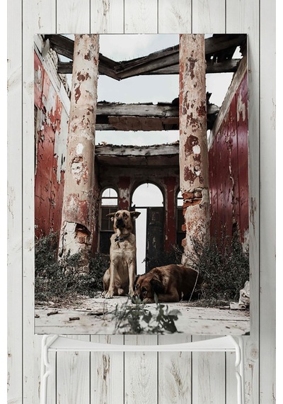 Köpek Hayvan Poster 2