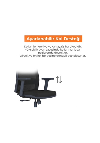 Tr Ritim Rtm Ergonomik Fileli Çalışma Koltuğu, Ayarlanabilir Bel Ve Kol Destekli Ofis Sandalyesi, 32 Dns Süngerli S Diğer Tr Ritim Rtm Ergonomik Fileli Çalışma Koltuğu, Ayarlanabilir Bel Ve Kol Destekli Ofis Sandalyesi, 32 Dns Süngerli S Diğer
