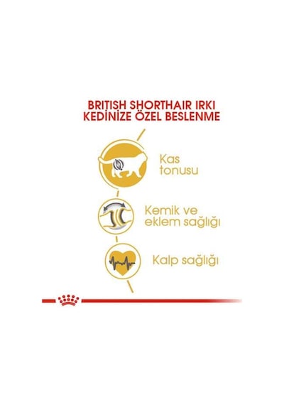 Royal Canin British Shorthair Kedilerine Özel Mama 10 KG