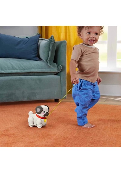 Fisher-price Sesli Minik Dostumla Yürüyüş Eğlenceli Çekçekli Köpek Oyuncağı 16,2 Cm