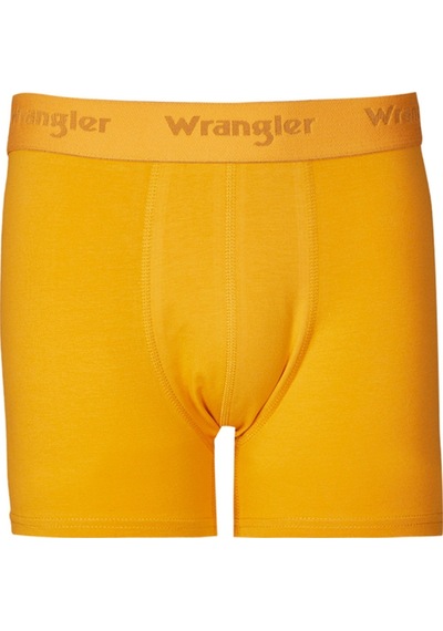 Wrangler Regular Fit Normal Kesim Turuncu Tekli Boxer W231763700