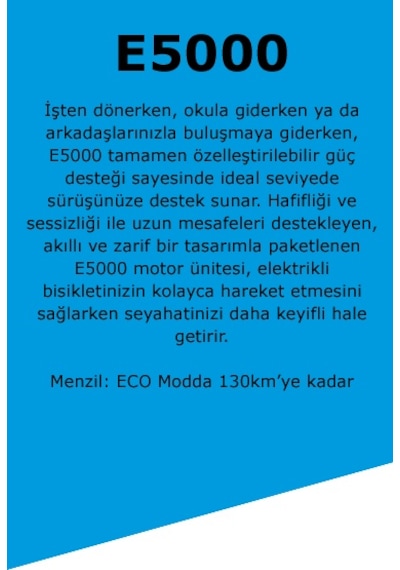 Bisan E-folding Strike 20" 9-vites Hd Katlanır Elektrikli Bisiklet Gri Siyah