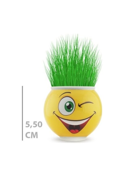 Çim Adam Saksı Emoji Figürlü 1 Adet Çok Renkli