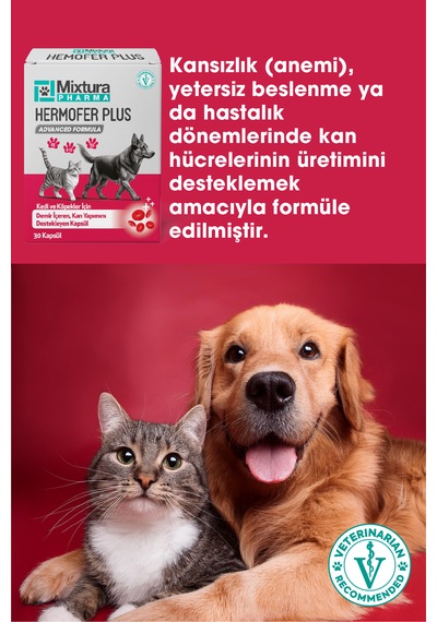 Mixtura Pharma Hemofer Forte Kedi Ve Köpek Kan Ve Demir Vitamini Kansızlığı Önleyici