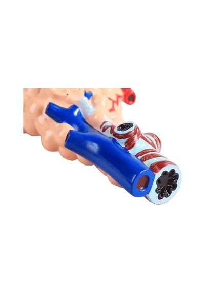 Pulmoner Alveoller  Modeli