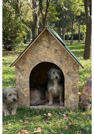 Reyo Köpek Kulübesi Büyük Boy Osb Xl Yeşil Çatılı 100x100x78 Cm Mld0dog08