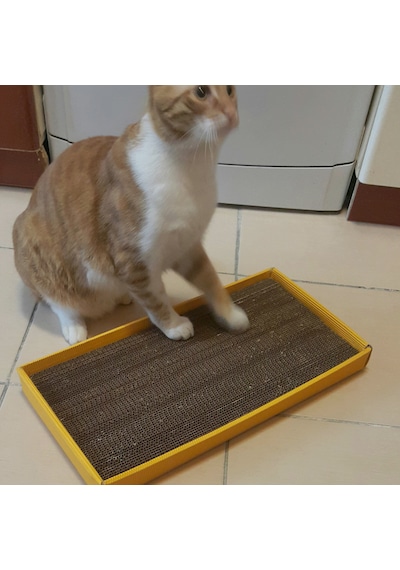 Kedi Tırmalama Dalgalı Ondüle Karton Kutulu 24 x 48 CM