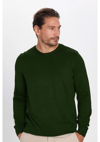 Tudors Erkek Slim Fit Dar Kesim Bisiklet Yaka Yeşil Triko Kazak-32482 Yeşil