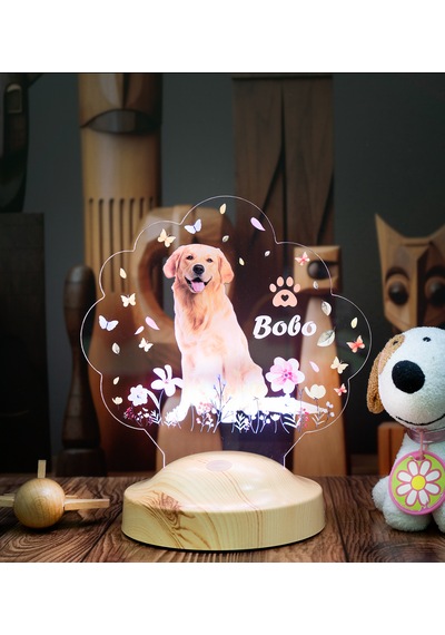 Köpek Fotoğraflı Led Lamba, Kişiye Özel Fotoğraf Ve İsimli Evcil Hayvan Temalı Lamba Hediye Tekli Foto Köpek
